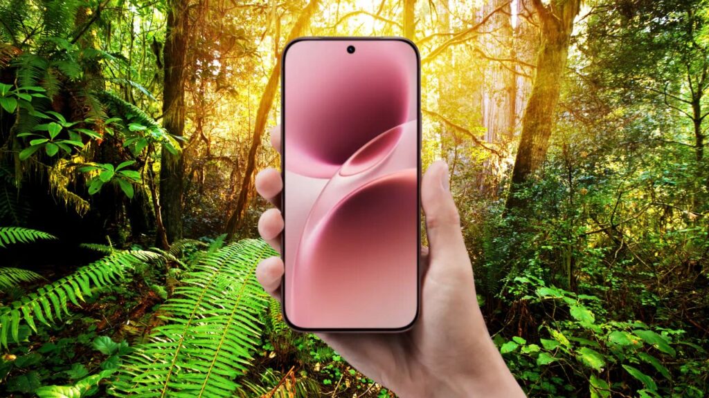 Vivo V70 Display
